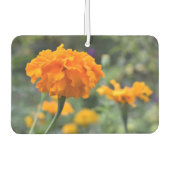 マリゴールド・オレンジ・フラワー自然写真園 カーエアーフレッシュナー (正面)