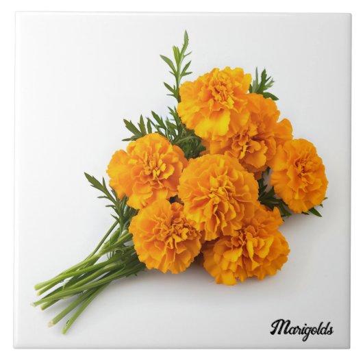 マリゴールド タイル (正面)