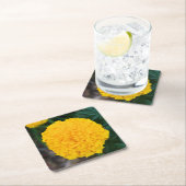 マリゴールド – 黄色の花 – コースター (インサイチュ)