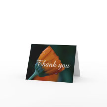 マリゴ感謝していルユー