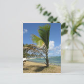 マリシャス ポストカード (スタンド正面)