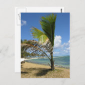 マリシャス ポストカード (正面/裏面)