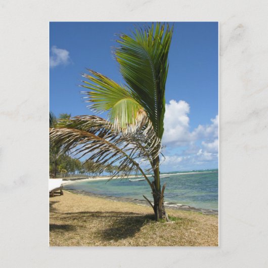 マリシャス ポストカード (正面)