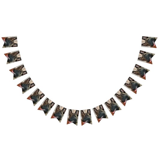 マリノワンドッグ バンティングフラッグ (全)