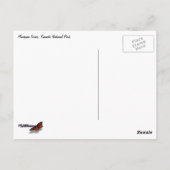 マリファサグローブを見上げる ポストカード (裏面)