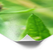 マリファナ フォトプリント            (角)