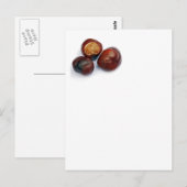 マリファナ ポストカード (正面/裏面)