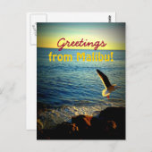 マリブからの挨拶！ ポストカード (正面/裏面)