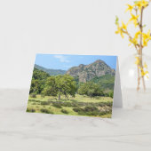 マリブの入り江の州立公園 カード (黄色い花)