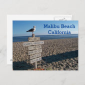 マリブビーチはがき – パラダイスコーブシーガルサイン ポストカード (正面/裏面)