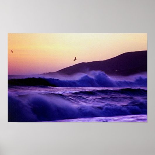 マリブビーチ ポスター (正面)