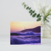 マリブビーチ ポストカード (スタンド正面)