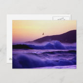 マリブビーチ ポストカード (正面/裏面)