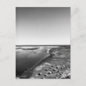 マリブ ポストカード (正面)