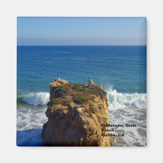 マリブCAビーチ磁石 マグネット (正面)