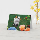 マリポサをミッツィ、蝶の翼を持つ犬 カード (黄色い花)