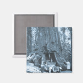 マリポサグローブの大木 マグネット (正面/裏面)