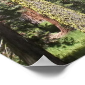 マリポサグローブの木々 ポスター (角)