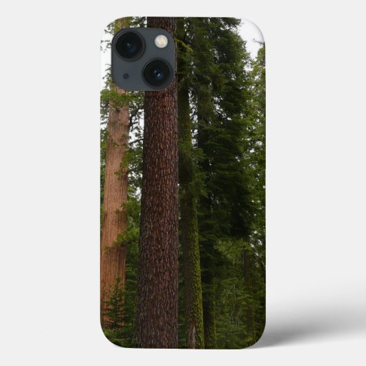 マリポサグローブインヨセミテ国立公園 Case-Mate iPhoneケース (裏面)
