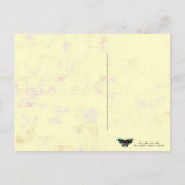 マリポサ～はがき/招待状 インビテーションポストカード (裏面)