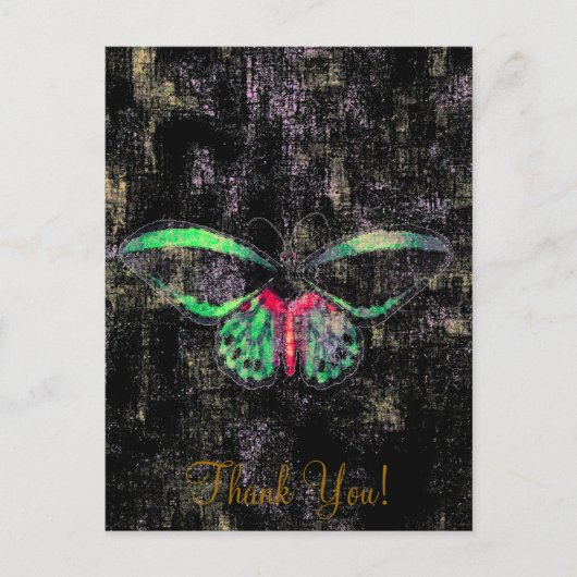 マリポサ～葉書/招待状蝶 ポストカード (正面)