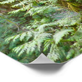 マリメレ秋I ポスター (角)