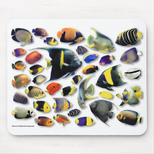 マリンアンジェフィッシュ マウスパッド (正面)