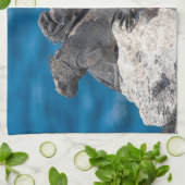 マリンイグアナ キッチンタオル (折り畳み)