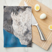 マリンイグアナ キッチンタオル (四つ折り)