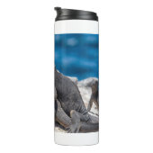 マリンイグアナ タンブラー (回転右)