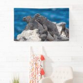 マリンイグアナ 横断幕 (インサイチュ)