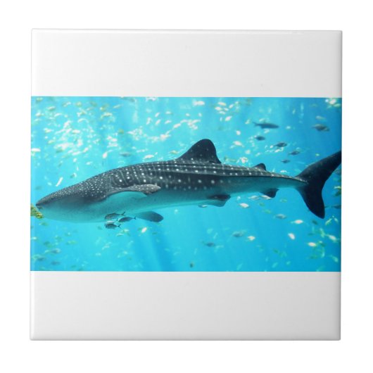 マリンウォータースタイリッシュシッククールブルーホエールシャーク タイル (正面)