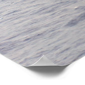 マリンコブすごいラ ポスター (角)