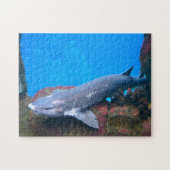 マリンサメ。 ジグソーパズル (横)