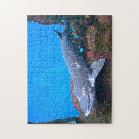 マリンサメ。 ジグソーパズル (縦)