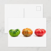 マリンダ トマト ポストカード (正面/裏面)