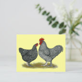 マリンチキン ポストカード (スタンド正面)