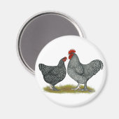 マリンチキン マグネット (正面/裏面)