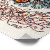 マリンライフイラストレーション- Ernst Haeckel Poster ポスター (角)