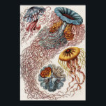 マリンライフイラストレーション- Ernst Haeckel Poster ポスター<br><div class="desc">ドイツの動物学者、博物学者、教授、海洋生物学者、エルンスト・ヘイケル(1843-1919)によるクンストフォルメンデル・ナトゥール(1904)のディスコメデス・シェイベンクアレン。オリジナルは議会図書館から。幾何学的な形状と自然な型枠は、例外的な精度でキャプチャ。</div>