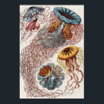マリンライフイラストレーション- Ernst Haeckel Poster ポスター<br><div class="desc">ドイツの動物学者、博物学者、教授、海洋生物学者、エルンスト・ヘイケル(1843-1919)によるクンストフォルメンデル・ナトゥール(1904)のディスコメデス・シェイベンクアレン。オリジナルは議会図書館から。幾何学的な形状と自然な型枠は、例外的な精度でキャプチャ。</div>