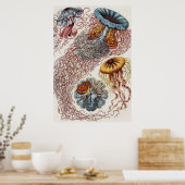 マリンライフイラストレーション- Ernst Haeckel Poster ポスター (キッチン)