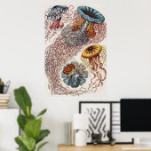 マリンライフイラストレーション- Ernst Haeckel Poster ポスター (ホームオフィス)
