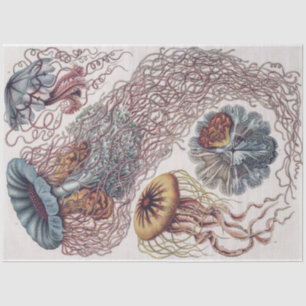 マリンライフクラゲ – Ernst Haeckel Decompage 薄葉紙