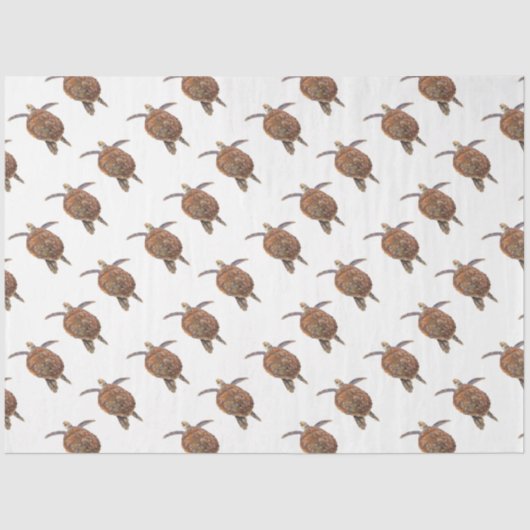 マリンライフシリーズデザイン14ティッシュペーパー 薄葉紙 (正面)