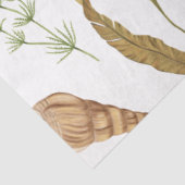 マリンライフシリーズデザイン20ティッシュペーパー 薄葉紙 (詳細)