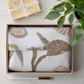 マリンライフシリーズデザイン22ティッシュペーパー 薄葉紙 (ギフト)