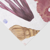 マリンライフシリーズデザイン23ティッシュペーパー 薄葉紙 (詳細)