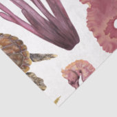 マリンライフシリーズデザイン29ティッシュペーパー 薄葉紙 (詳細)