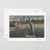 マリンランド，フロリダ食べ物を与え州 – 海老の景色 ポストカード (正面/裏面)